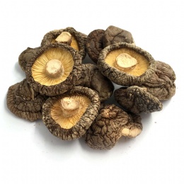 Organic Dried Shiitake