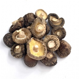 Organic Dried Shiitake